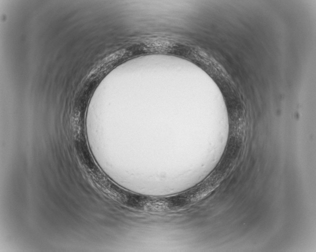 X0000085830599200704091700