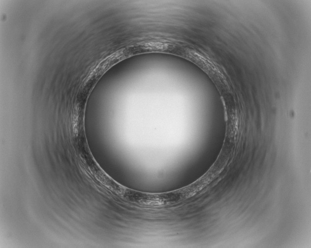 X0000085830600200704091700