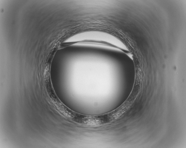 X0000085830601200704091700