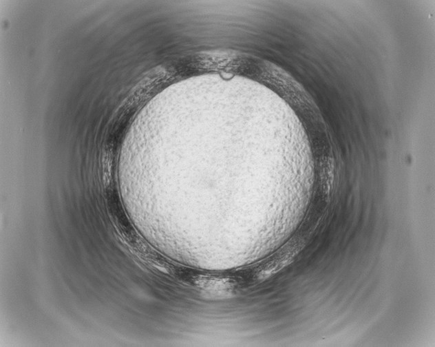 X0000085830602200704091700