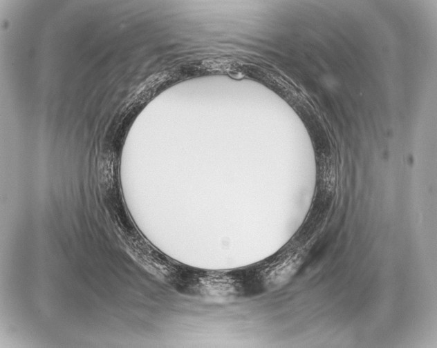 X0000085830603200704091700