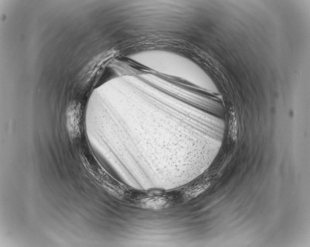 X0000085830604200704091700