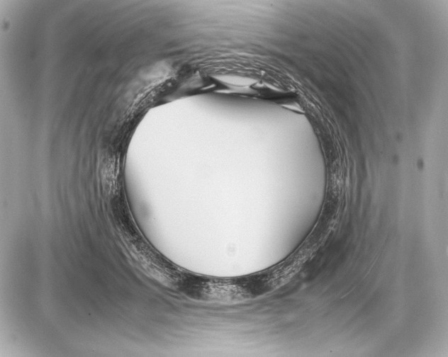 X0000085830605200704091700