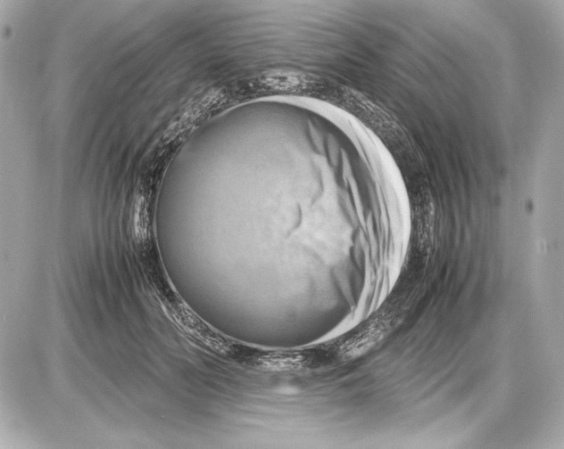 X0000085830606200704091700