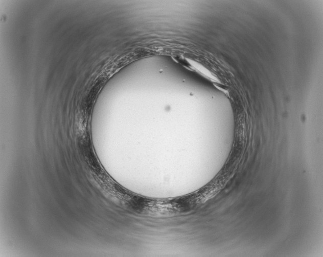 X0000085830607200704091700