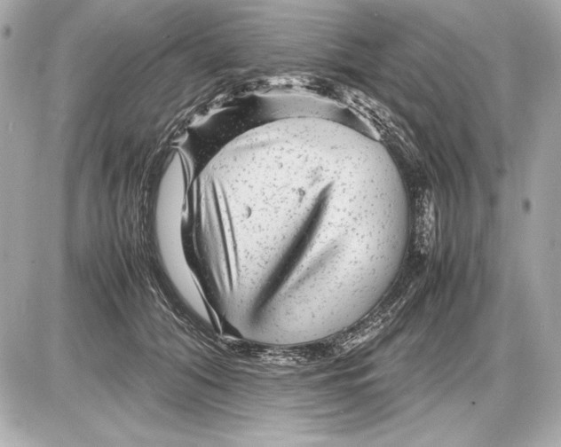 X0000085830608200704091700