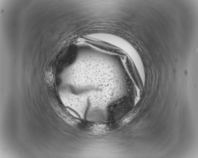 X0000085830609200704091659