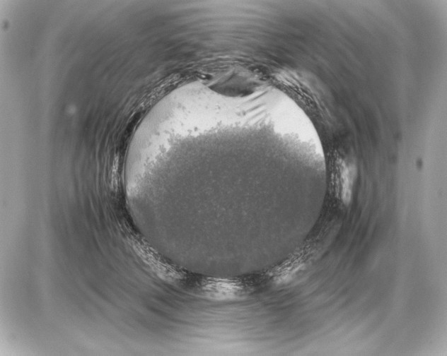 X0000085830610200704091659