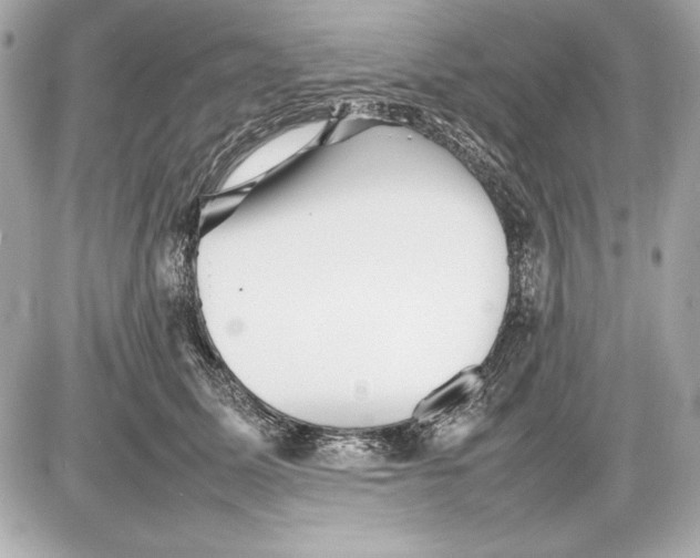 X0000085830611200704091659