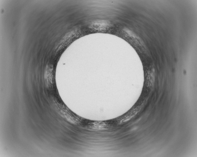 X0000085830612200704091659