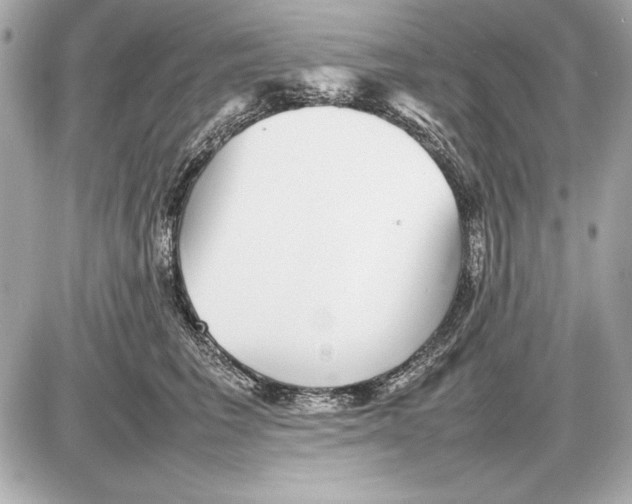 X0000085830613200704091659