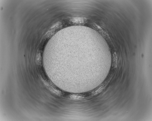 X0000085830614200704091659