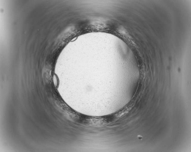 X0000085830615200704091659