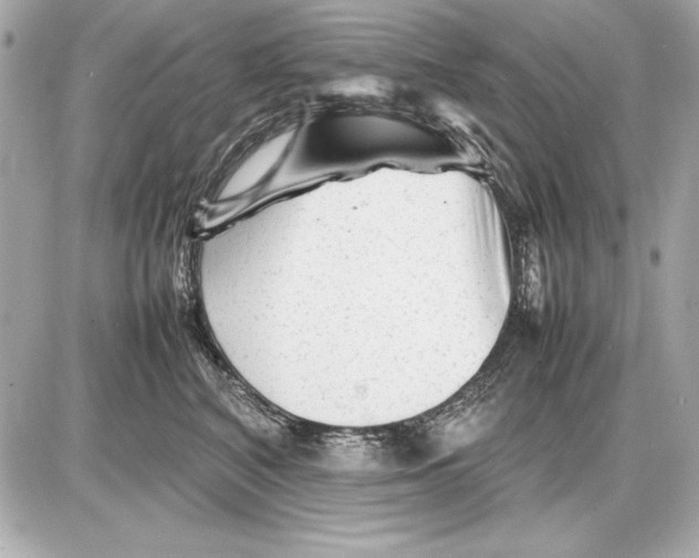 X0000085830616200704091659