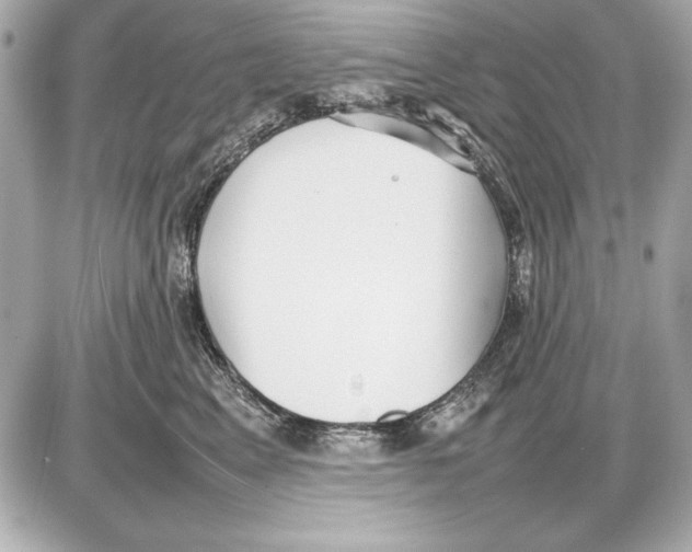 X0000085830617200704091659