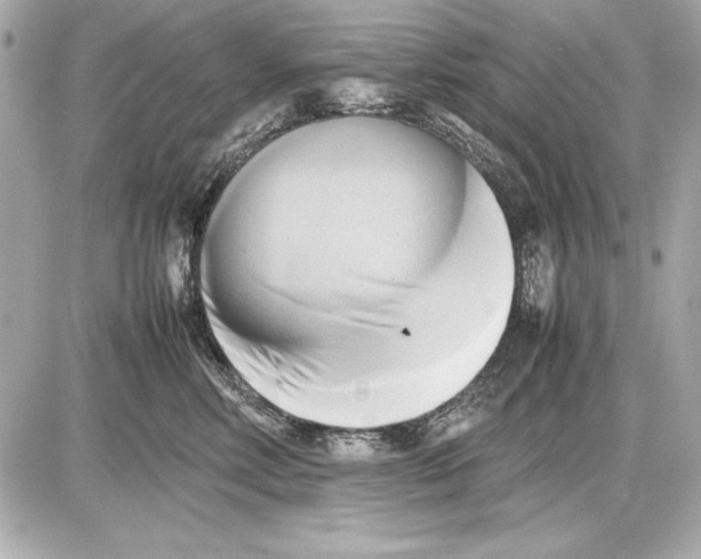 X0000085830618200704091659