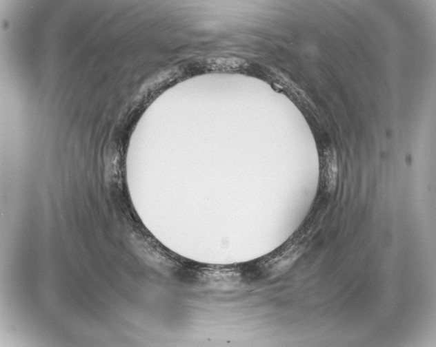 X0000085830619200704091659