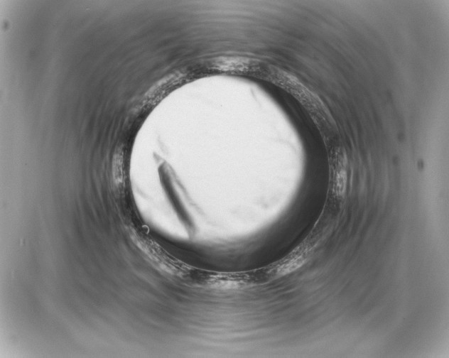 X0000085830620200704091659