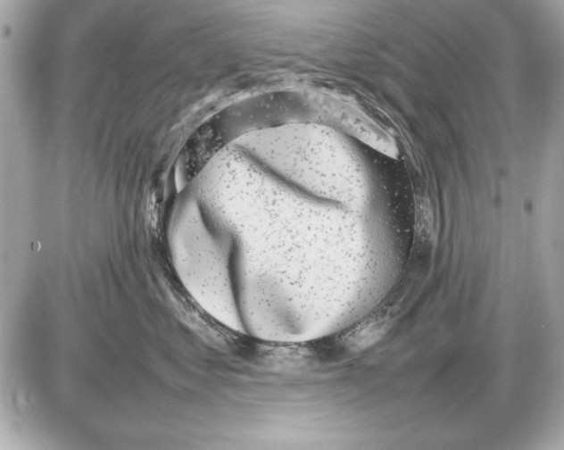 X0000085830621200704091659