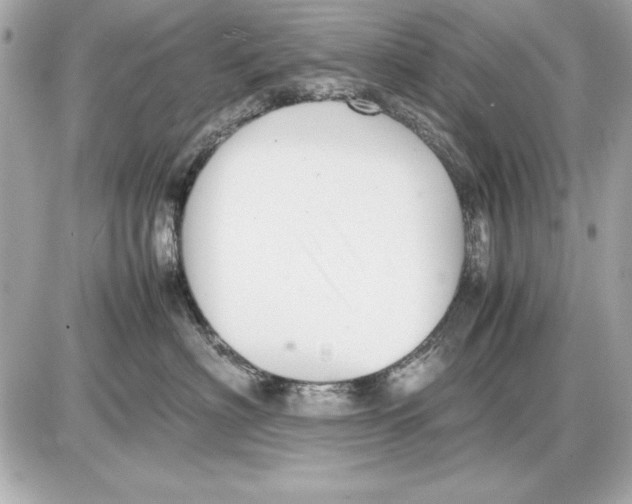 X0000085830622200704091659