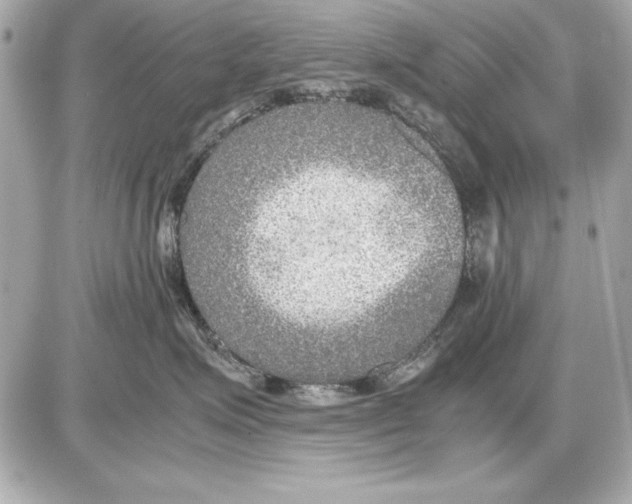 X0000085830623200704091659