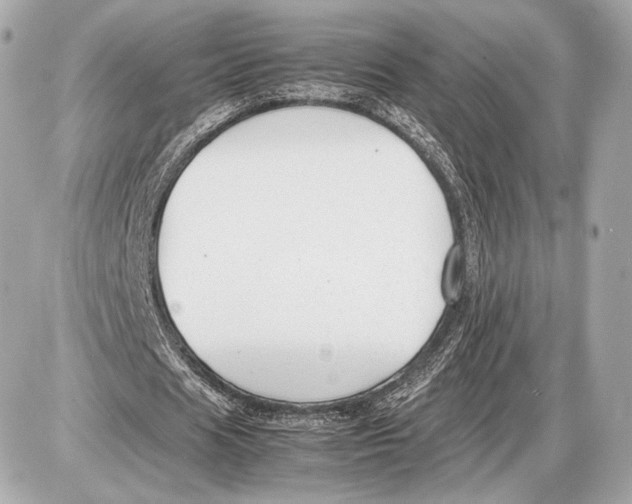 X0000085830625200704091658