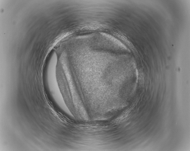 X0000085830626200704091658