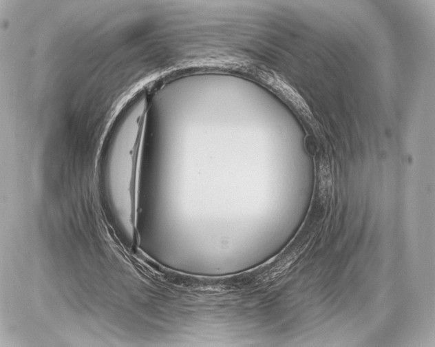 X0000085830628200704091658