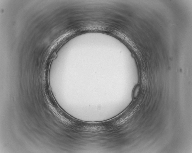 X0000085830629200704091659