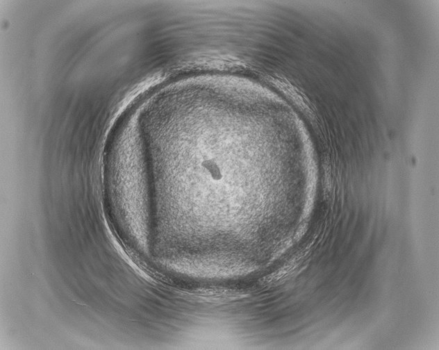 X0000085830630200704091659