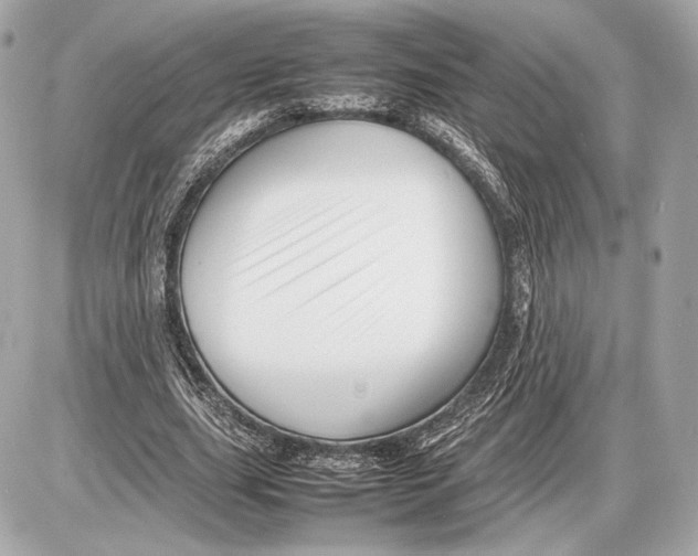 X0000085830631200704091659