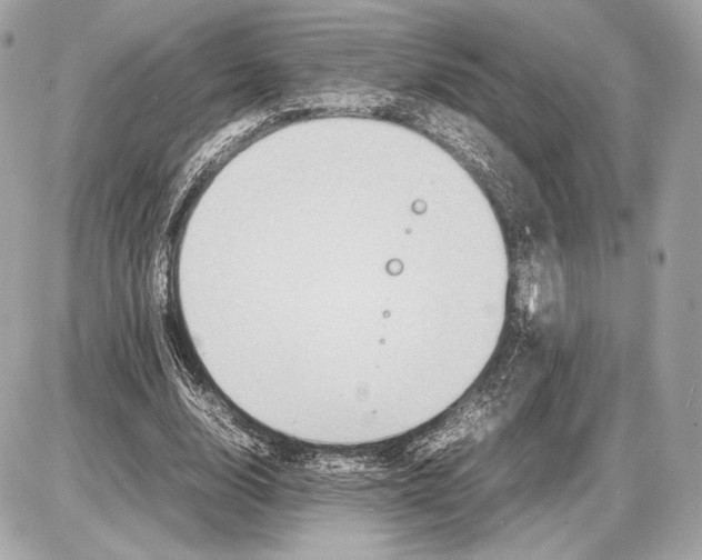 X0000085830632200704091659