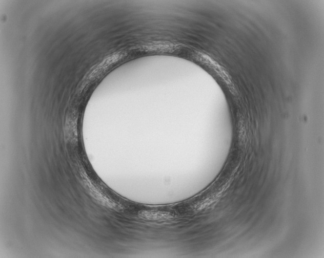 X0000085830633200704091659