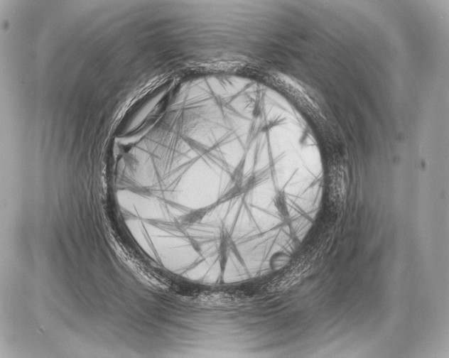 X0000085830634200704091659