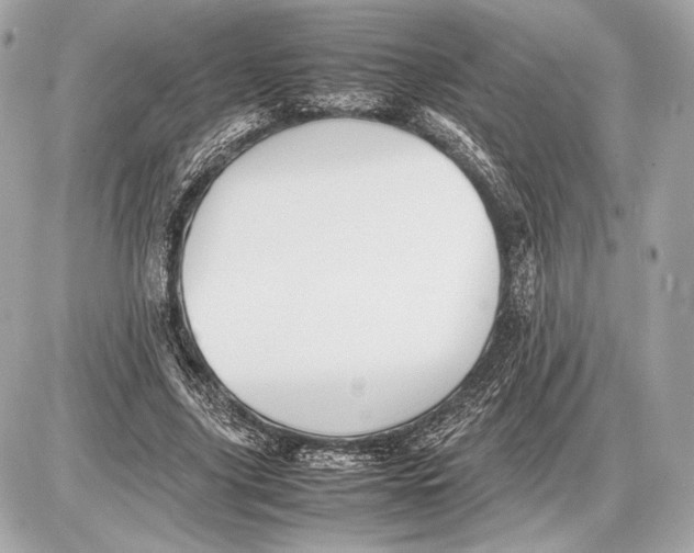 X0000085830635200704091659