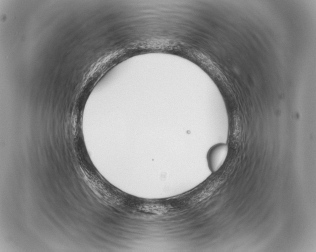 X0000085830636200704091659