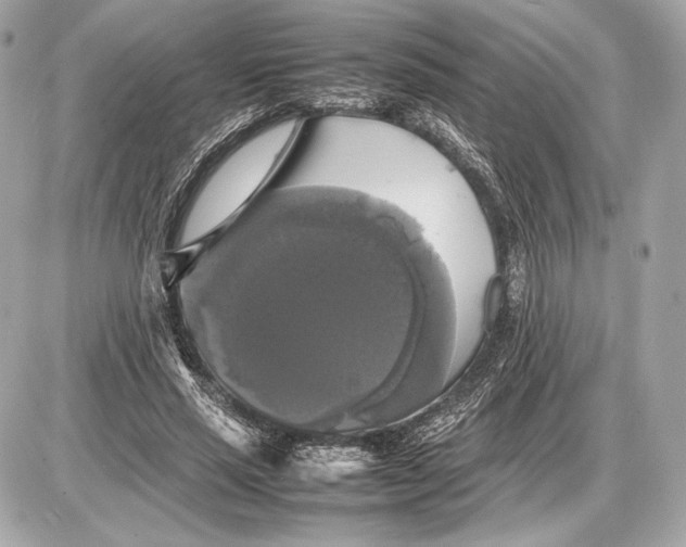 X0000085830637200704091659