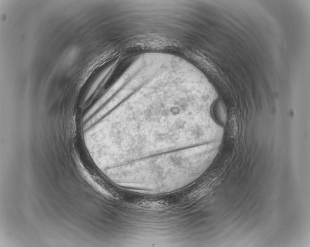 X0000085830638200704091659