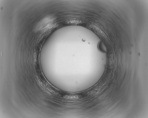 X0000085830639200704091659