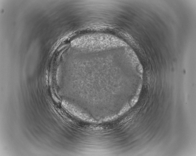 X0000085830640200704091659