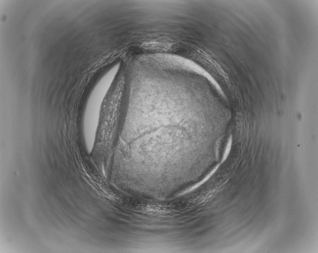 X0000085830641200704091659