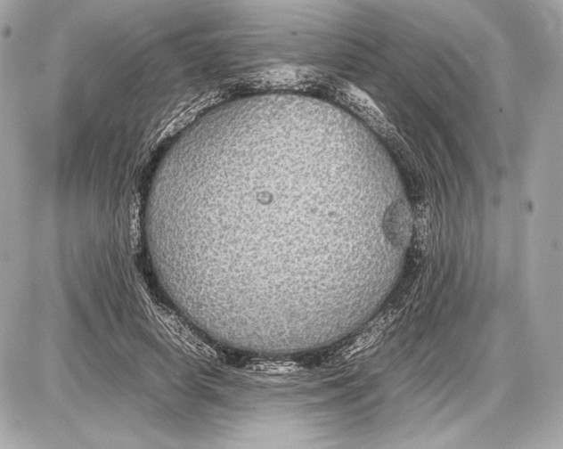 X0000085830642200704091659