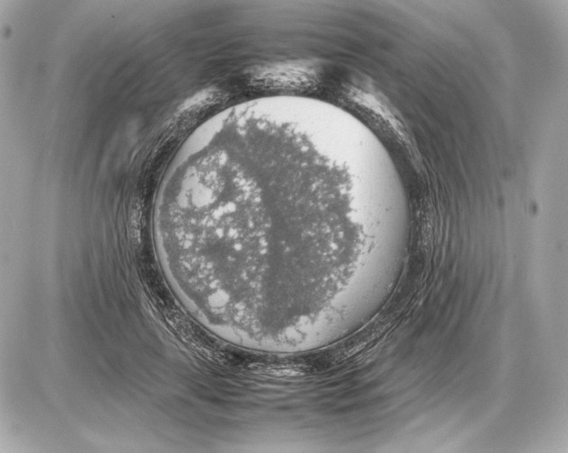 X0000085830643200704091659