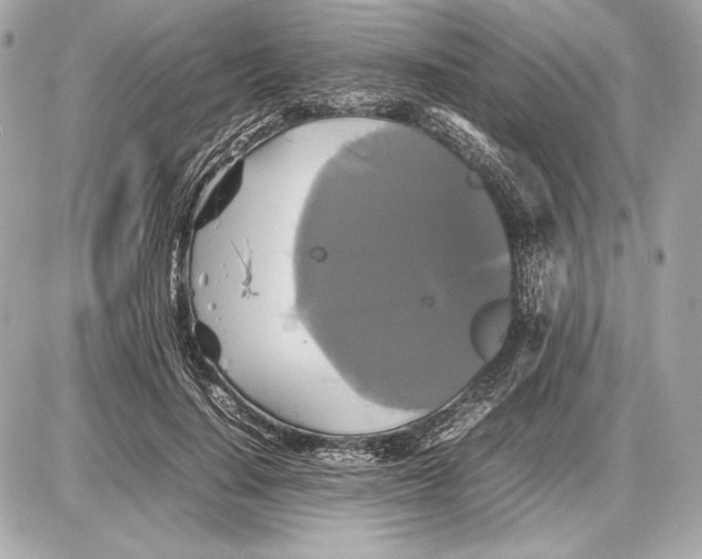 X0000085830644200704091659