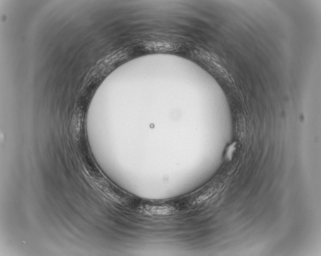 X0000085830645200704091659