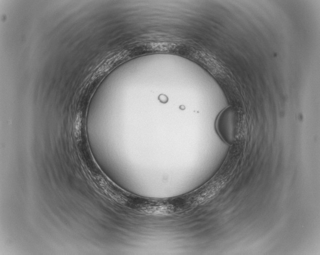 X0000085830646200704091659