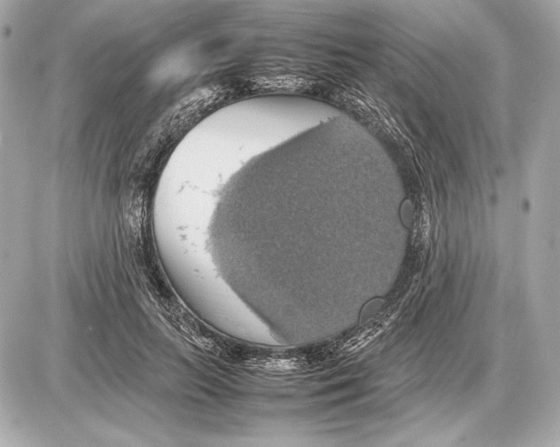 X0000085830647200704091659