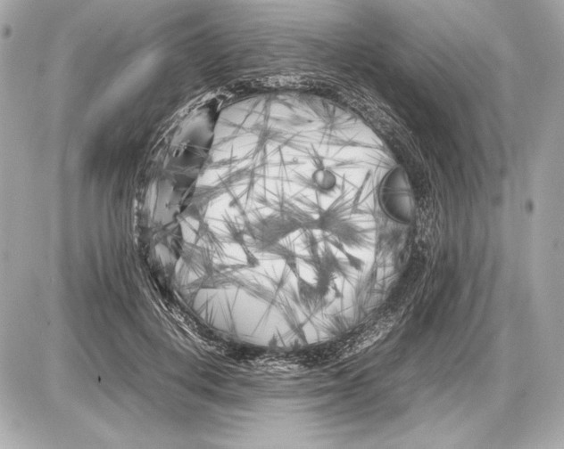 X0000085830648200704091659