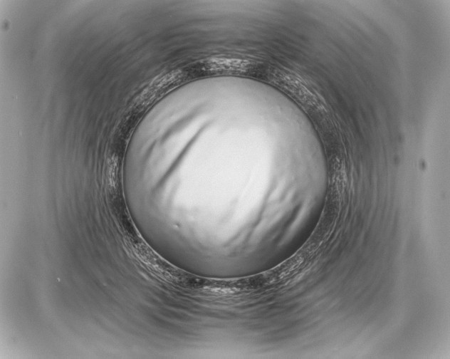 X0000085830649200704091659