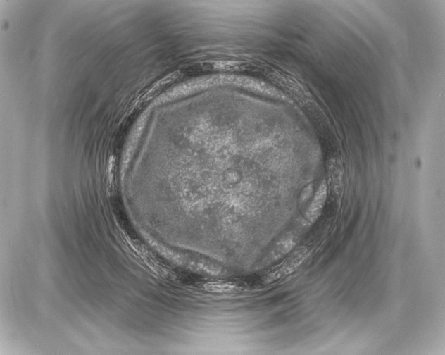 X0000085830650200704091659